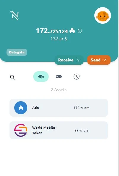 Nami Wallet Assets